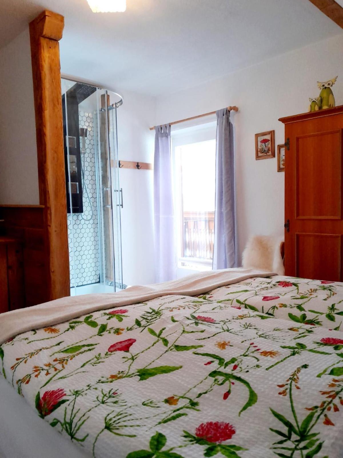 Haus Moni Apartment Bad Goisern Ngoại thất bức ảnh